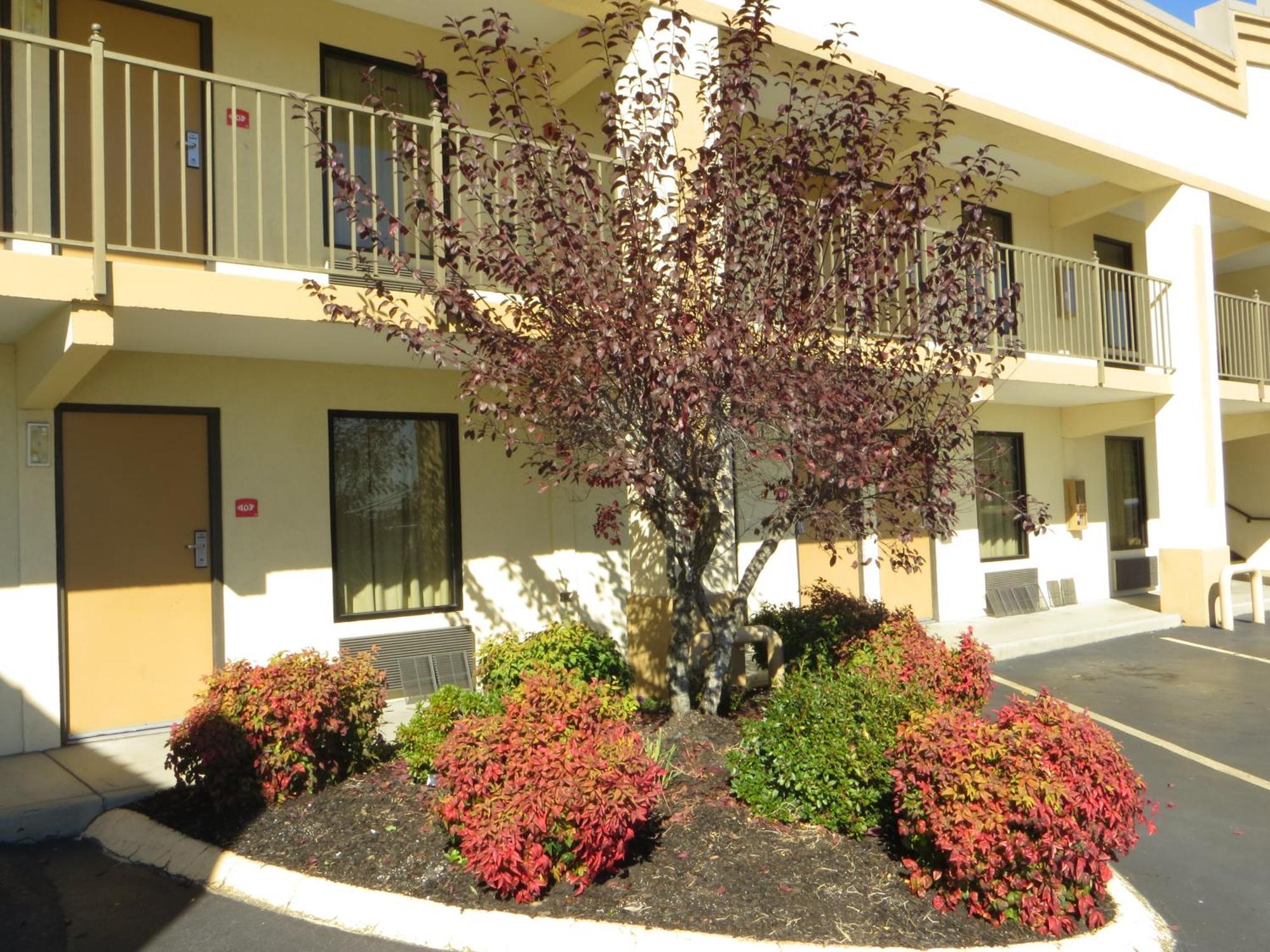 Econo Lodge Lenoir City Extérieur photo